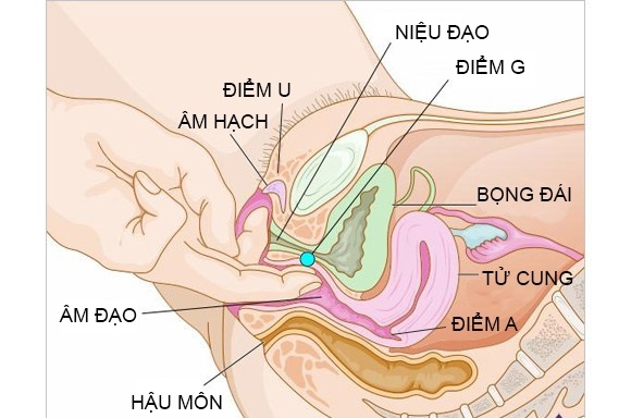 cách sử dụng Bách Bình Viêm